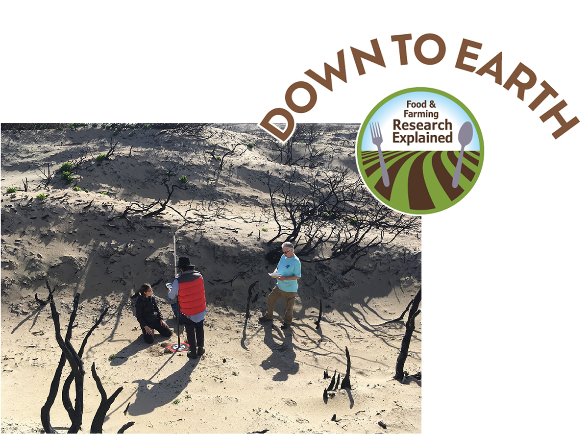 Undergraduates require access to authentic field environments to learn effectively. An undergraduate student (left) assists a Ph.D. candidate (center) deploying targets prior to a UAV (drone) aerial imagery survey, under the guidance of an expert geospatial scientist (right), in coastal dunes on Kangaroo Island after a significant bushfire. Photograph by A. Turner.