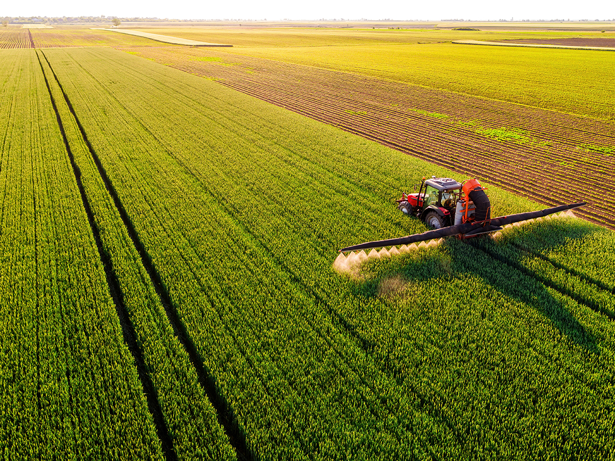 Agronomic practices are central to improving the nutritional value of food crops and addressing micronutrient deficiencies in human diets. Fertilizer management is one agronomic approach. Photo courtesy of Adobe Stock/oticki.