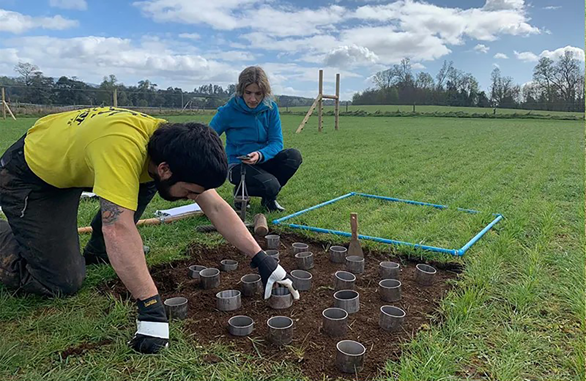 Sebastián Bravo Peña, first author on the study and Ph.D. candidate in the Soil Physics and Land Management Group (SLM) at Wageningen University & Research, taking soil samples with Dr. Dorota Dec, collaborator on the project from the Institute of Agricultural Engineering and Soils (IIAS) at the Austral University of Chile. Image courtesy of Dr. José Dörner, IIAS.