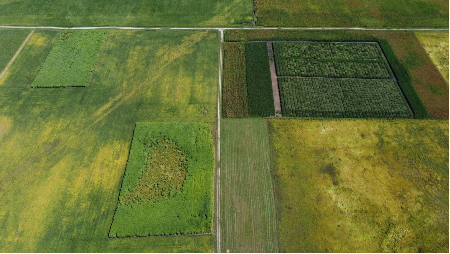 Arial photos and data can show noticeable disparities in crop development across a field with prairie potholes. Photo by Andrew VanLoocke.