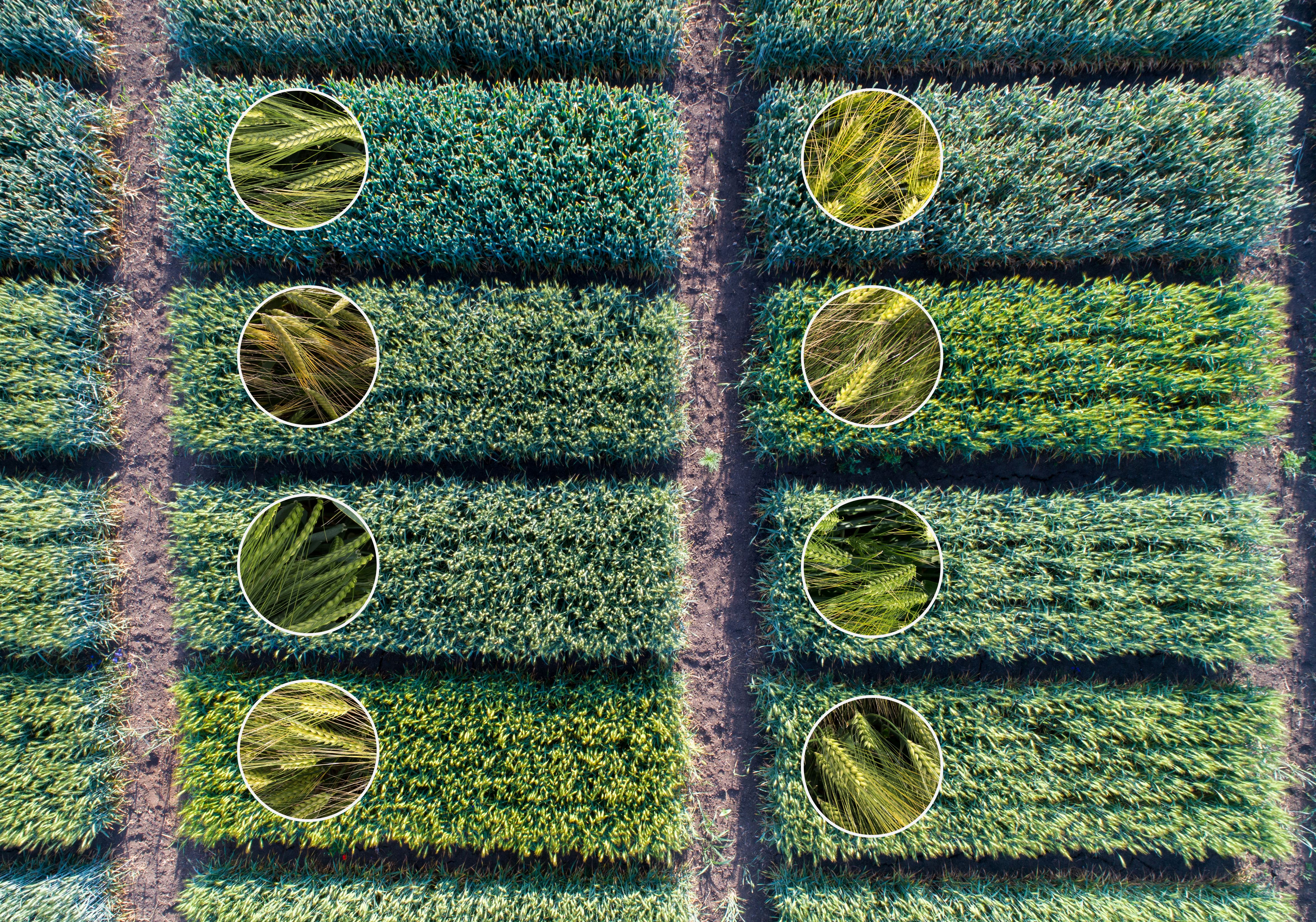 Photo courtesy of Adobe Stock/Budimir Jevtic