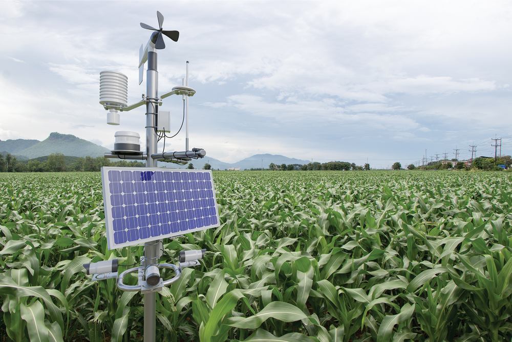 Daily evapotranspiration reports can be found from nearby weather stations, which is useful for canopy-based water management. Photo courtesy of Adobe Stock/kinwun.
