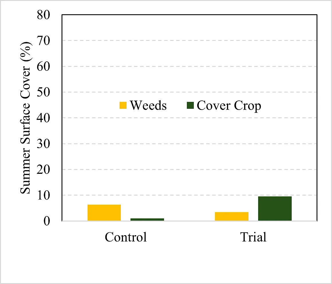 Average summer surface cover for control and trial fields.