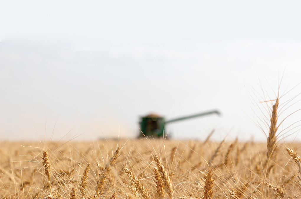 Photo by Louise Sorensen.