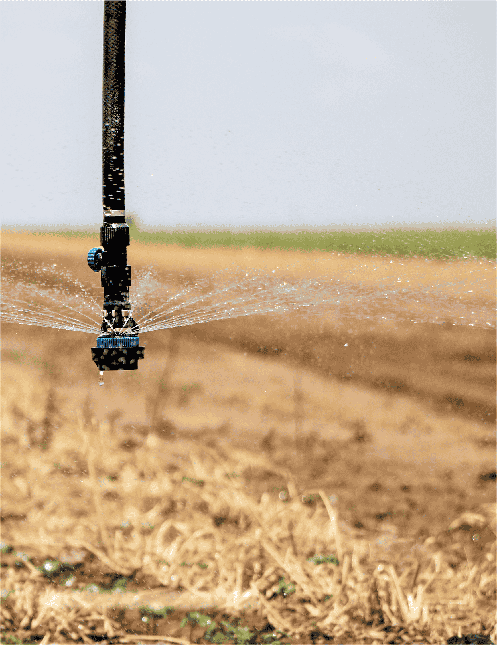 Photo courtesy of the High Plains Underground Water Conservation District.