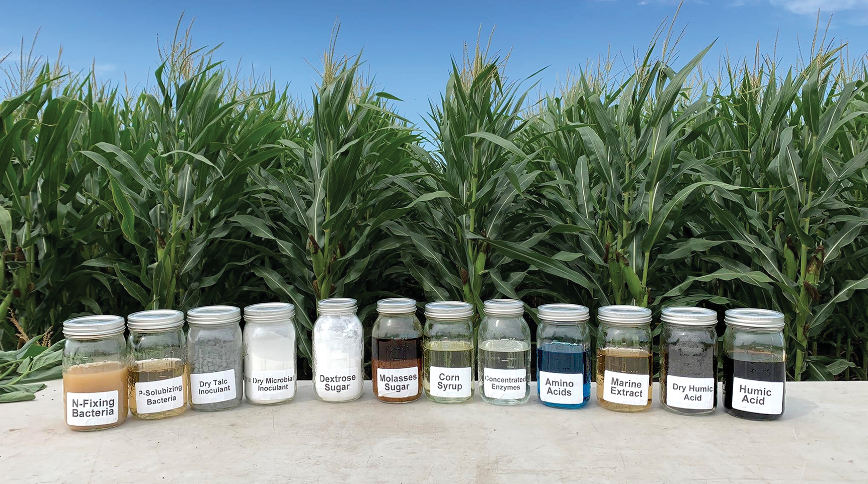 Biologicals come in a range of colors and formulations, providing multiple opportunities for grower incorporation into their existing man- agement programs. However, each product is unique, and it is essential to understand the type of product one is working with to best  position the application for success. Photo by Carolyn Opperman.