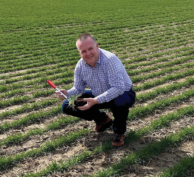 Rod Miller, International CCA of the Year, enjoys his time in the field with his growers in central Indiana maximizing production of corn, soybeans, and wheat.