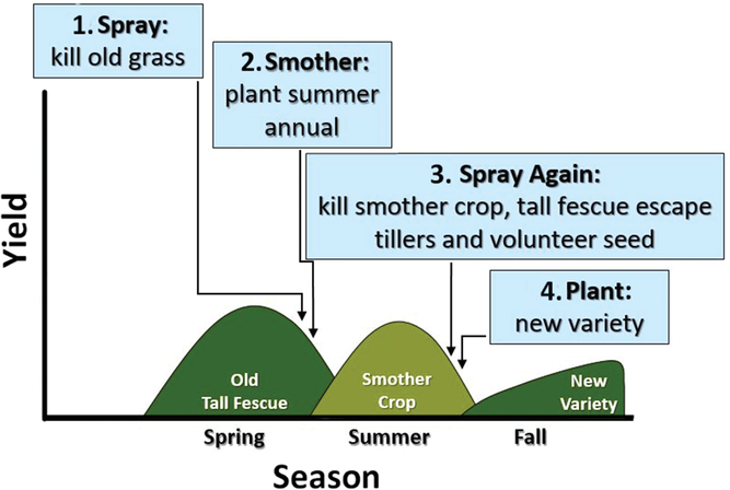 Figure 1. The spray–smother–spray method of replacing toxic tall fescue in a pasture with another cool-season grass.