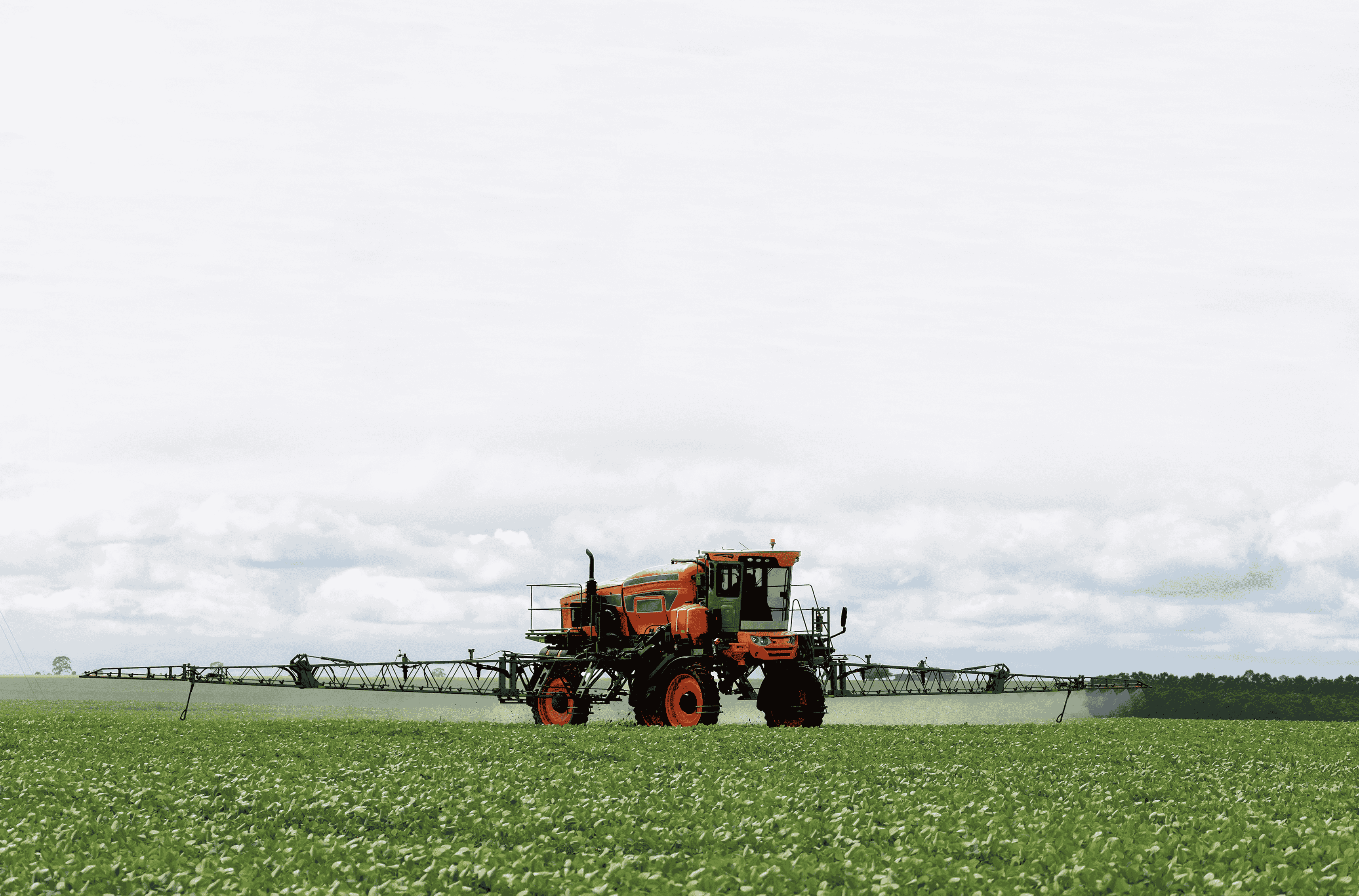 Photo courtesy of Adobe Stock/zequinao.