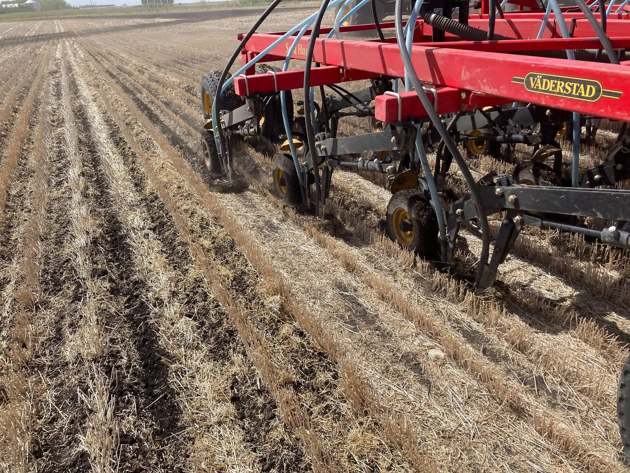 Sideband placement of N during seeding.