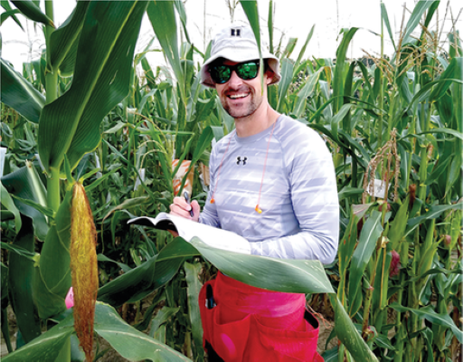 Matthew Woore in the field evaluating corn varieties. Photo by Jim Holland and original- ly published here: https://doi.org/10.1002/ csan.20597.