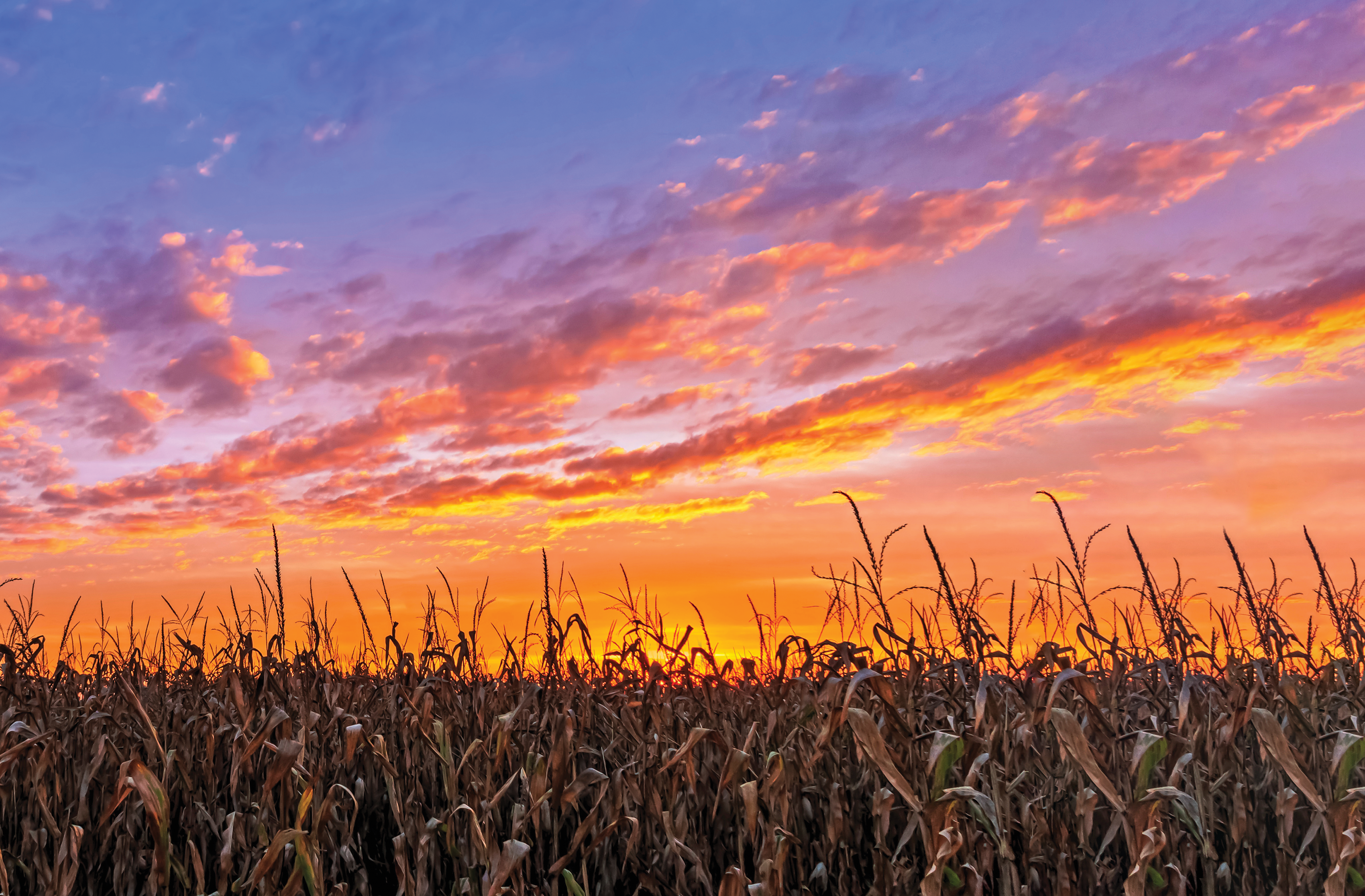 Photo courtesy of AdobeStock/Kenneth Keifer.