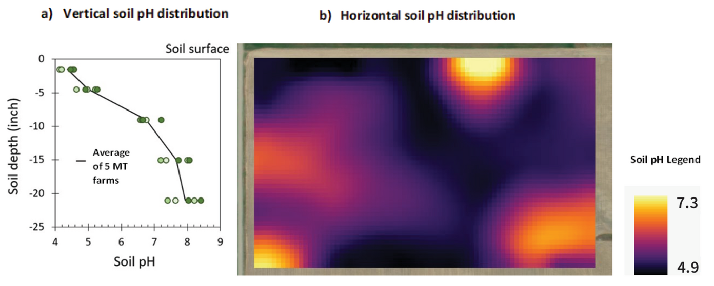 Figure 1. An example of (a) vertical pH distribution across five farms (Jones et al., 2019) and (b) horizontal pH distribution across a 50-ac grower’s field near Billings, MT (courtesy Paul Nugent).