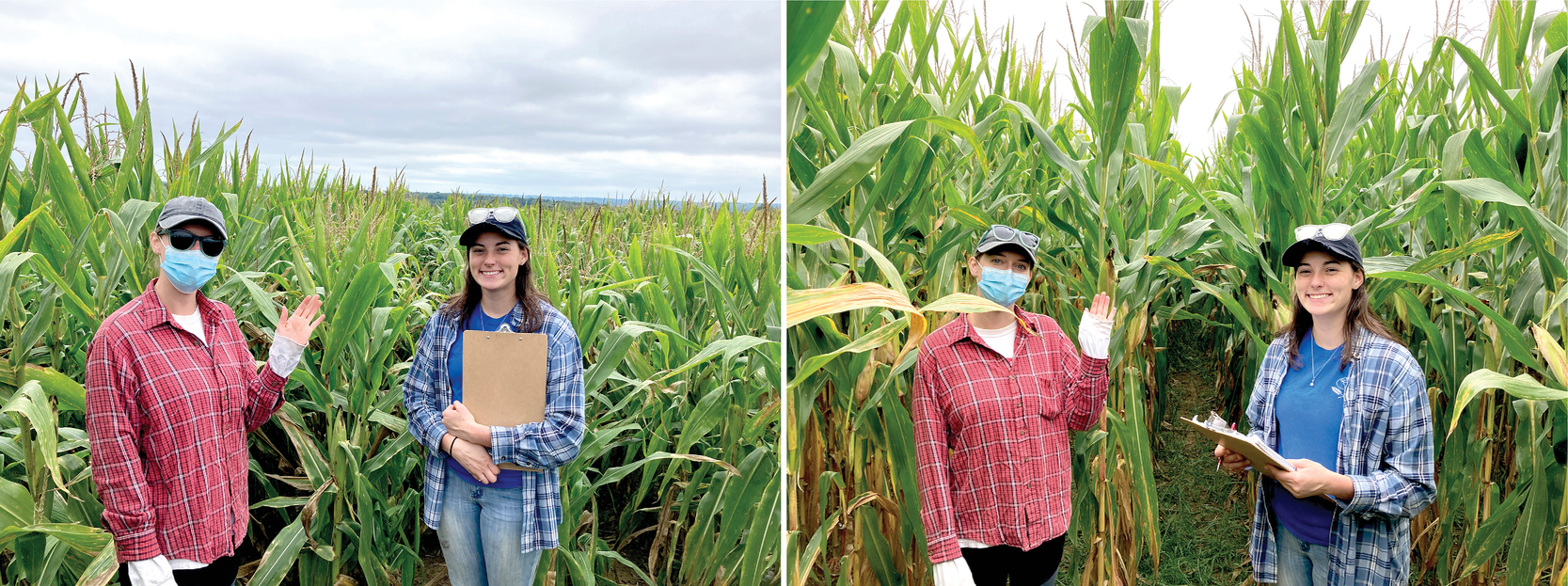 Bethany Herman and Theresa Brehm in a field where a pipeline was installed (left) vs. an adjacent non-disturbed area (right).