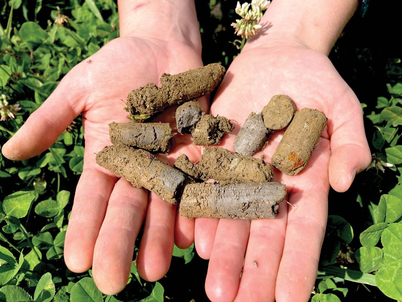 Evidence of subsoil mixing with topsoil from soil cores sampled to an 8-inch depth.