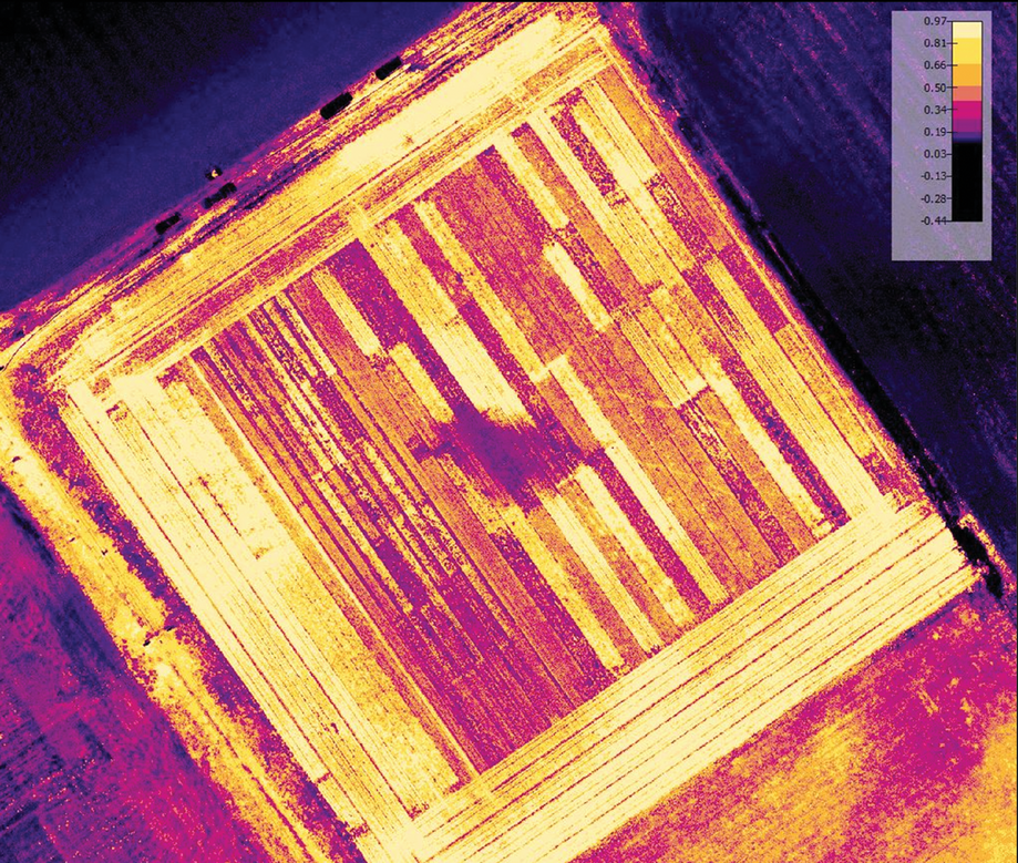 Figure 2. Normalized difference vegetation index (NDVI) measured by a drone of cover crop plots in Delaware, 2021.