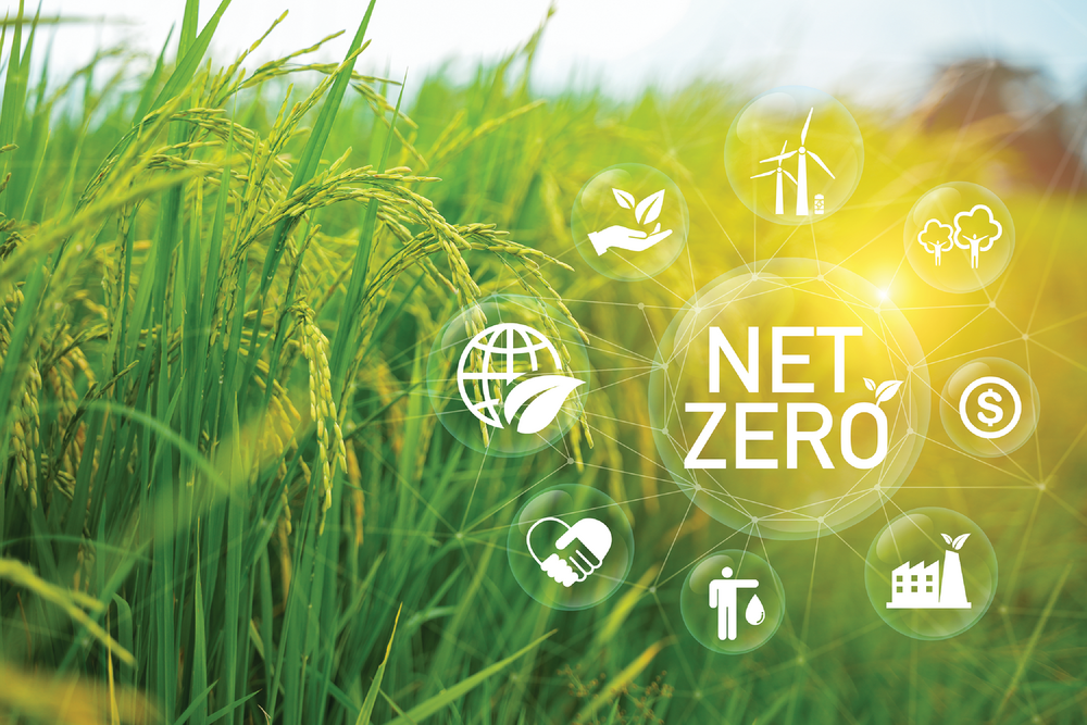 If the programs discussed in this article are successful, by 2030 they could reduce current emissions associated with fertilizer use by 30%. What will it take to go further and achieve “net zero” for plant nutrition by 2050? Image courtesy of Adobe Stock/Naiyana.