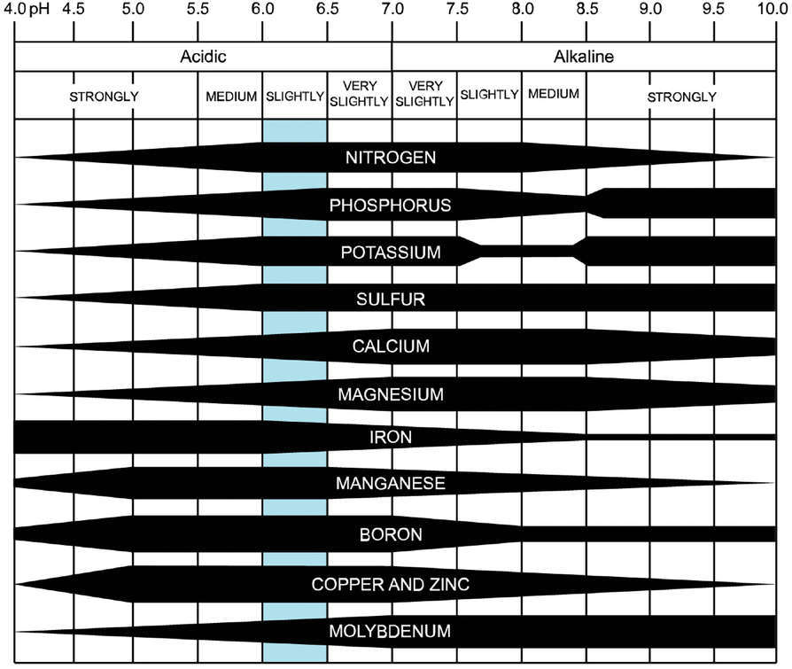 Developed more than 80 years ago, the soil pH and nutrient diagram offers a quick reference that growers can use to gauge soil fertility and plant nutrition. Blue denotes the ideal soil pH for the majority of plants (slightly acidic). Source: Flickr/CoolKoon and published under this creative commons license: https://creativecommons.org/licenses/ by/4.0/deed.en