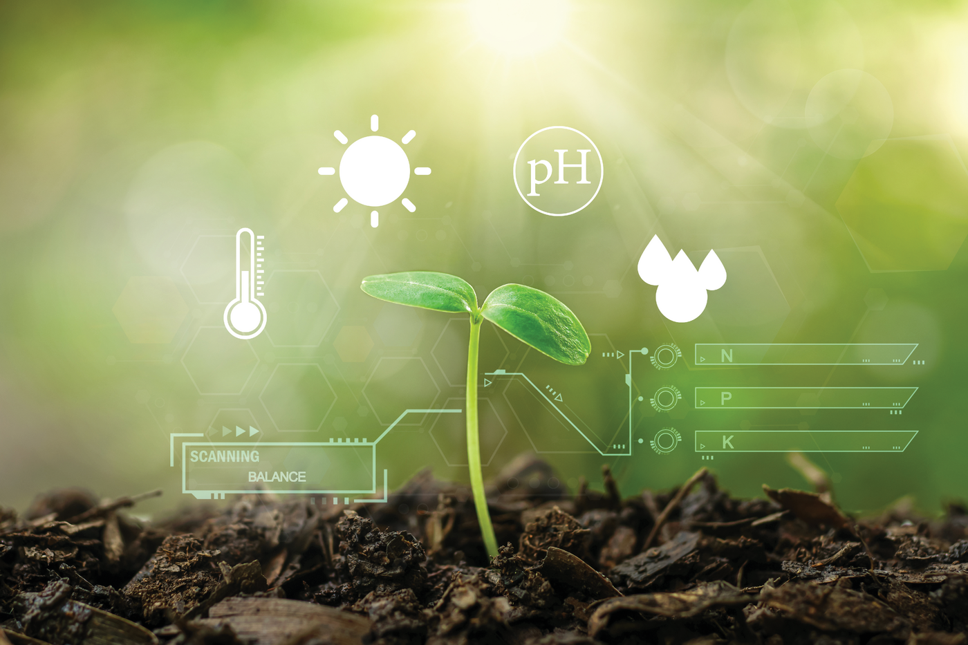 Photo courtesy of Adobe Stock/surasak.