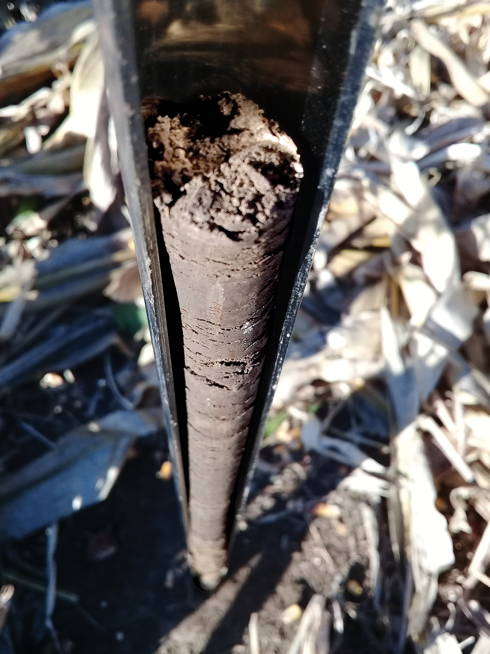 Photo courtesy of Udayakumar Sekaran.