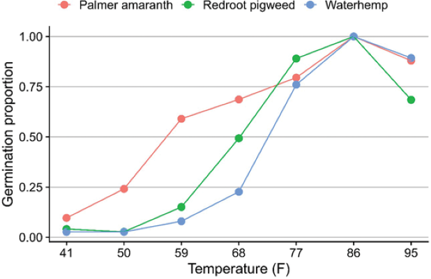 Figure 3. Palmer amaranth germination at various temperatures compared to other pigweeds (waterhemp and redroot pigweed). Data adapted from Steckel et al. (2004).