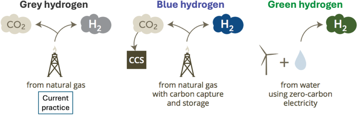 Three main types of hydrogen production for the manufacturing of ammonia fertilizer. Adapted from Ewing et al. (2020).