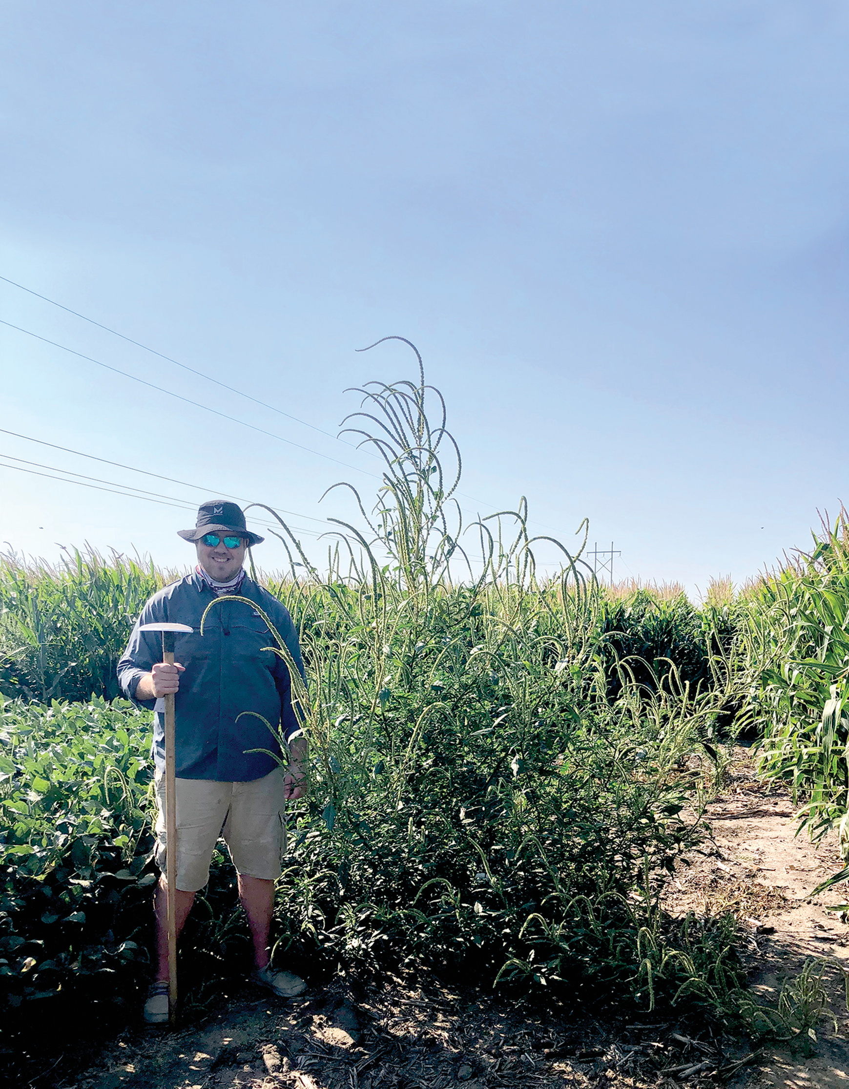 Shawn McDonald stands next to a massive Palmer amaranth plant near Clay City, NE. McDonald is co-author on a recent article in Agrosystems, Geosciences & Environment looking at weed management challenges and current practices in Nebraska.
