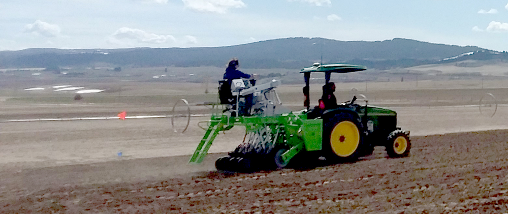 Barley trial planting near the Teton mountains in Idaho. Photo by Christopher W. Rogers.