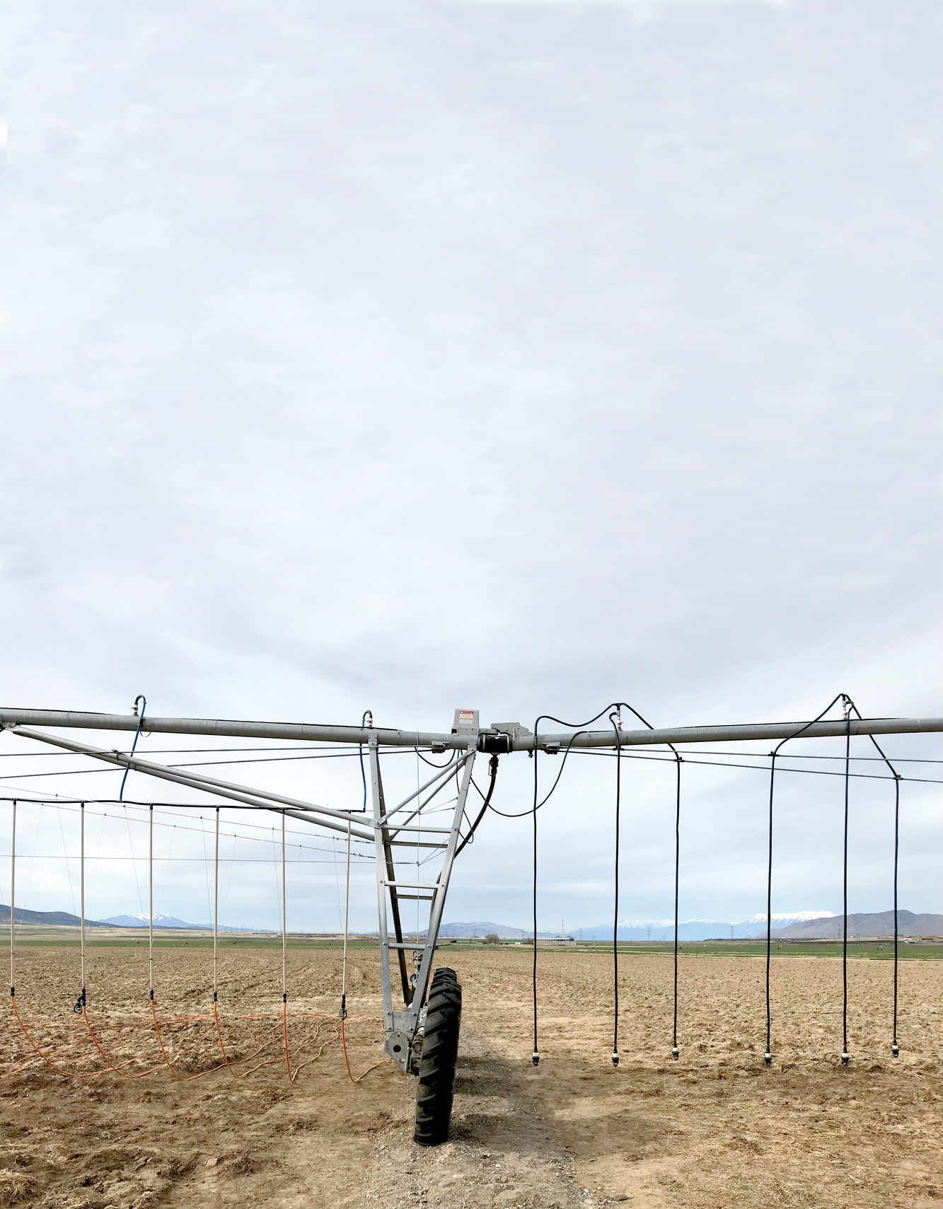 The low-elevation precision application (LEPA) sprinklers on the right were compared with mobile drip irrigation (MDI) on the left during a silage corn trial near Elberta, UT. Photo by Matt Yost.