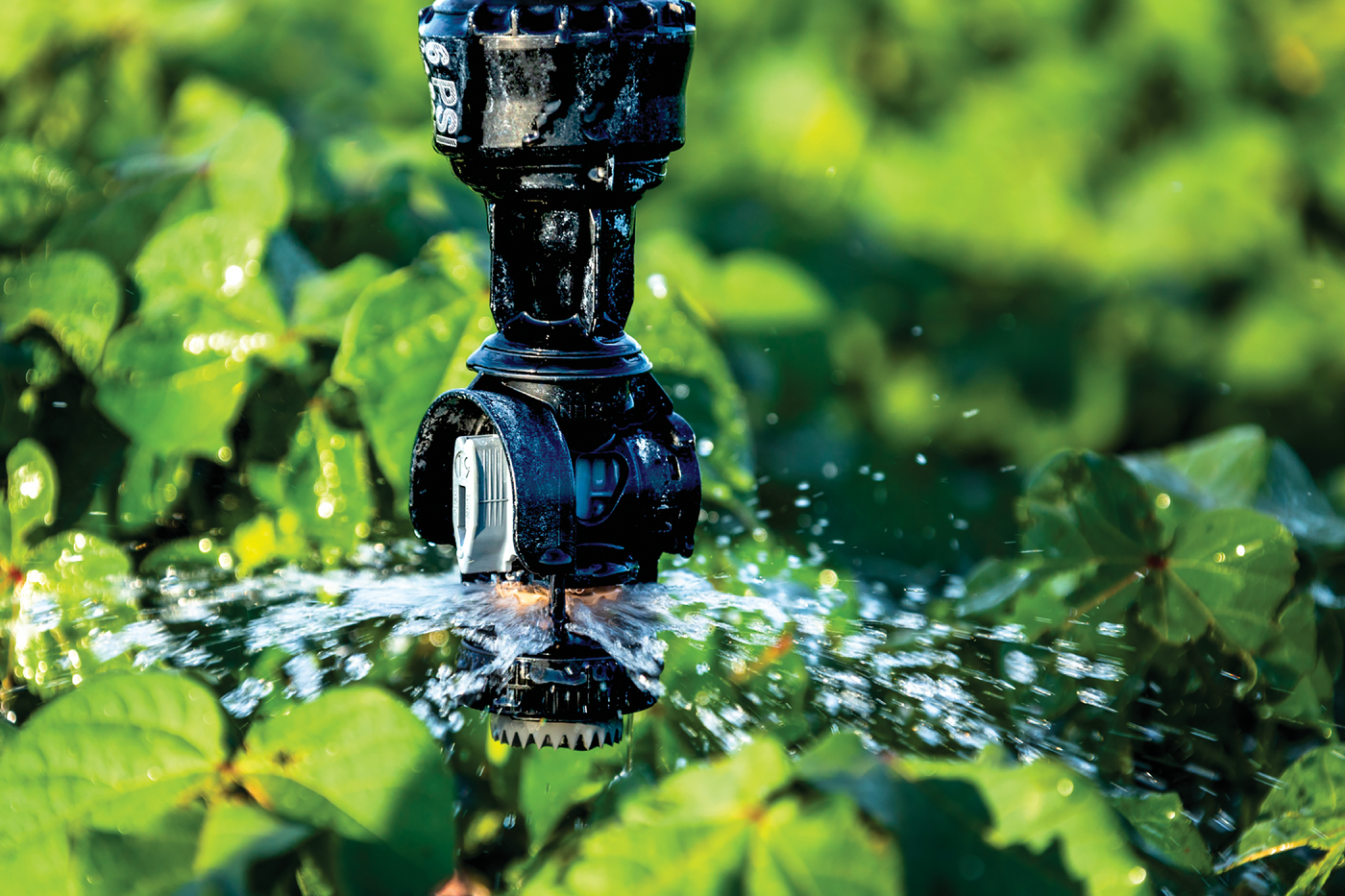 In a LEPA system, the sprinklers are augmented to a lower position to be closer to crops. Photo courtesy of Wikimedia Commons/Nelsonirrigation and published under this license: https://creativecommons.org/licenses/by-sa/4.0/deed.en.