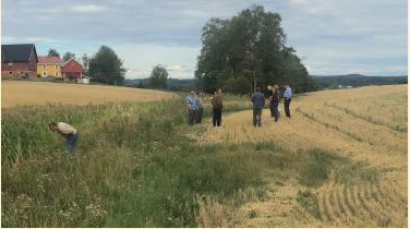 Phosphorus researchers examine a vegetated riparian buffer in Nor- way. Riparian buffers are very effective at trapping sediment-bound phosphorus but can become sources of dissolved phosphorus if legacy sources are not dealt with. Photo by Pete Kleinman.