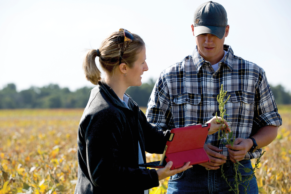 Photo courtesy of the United Soybean Board.