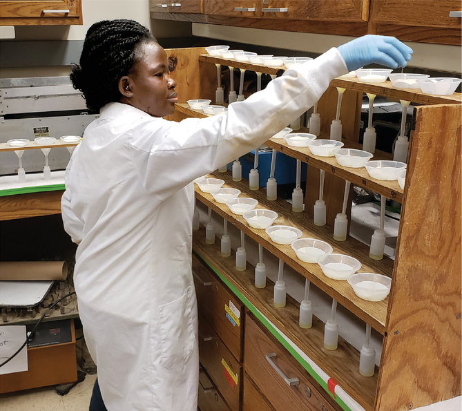 Purdue University Graduate Research Assistant Adebukola Dada, lead author on the paper, filters soil samples for her study on cover crops and phosphorus. Photo courtesy of Adebukola Dada.