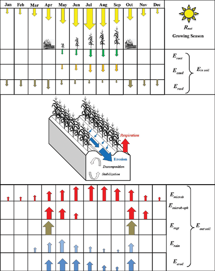 Conceptual diagram highlighting the seasonal energy inputs and outputs of a conventional corn–soybean system. See https://doi. org/10.1002/agg2.20314 for abbreviation definitions. Source: Ken Wacha.
