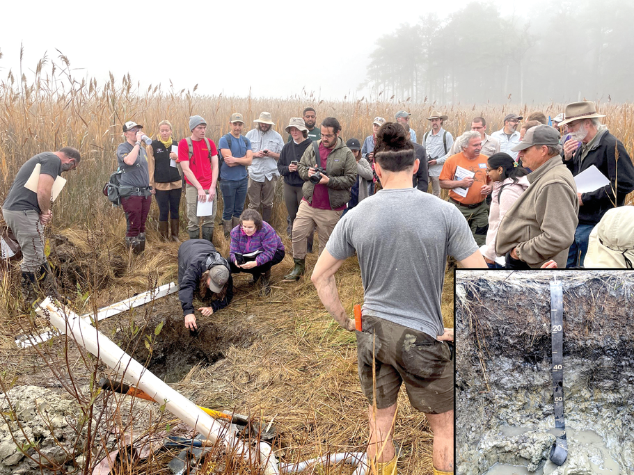 Figure 1. Examining the exposed soil profile of a submerged upland marsh at the Chesa- peake Environmental Center on the opening foggy morning of the tour. Photos by Lorene  Lynn and Grace Bodine.