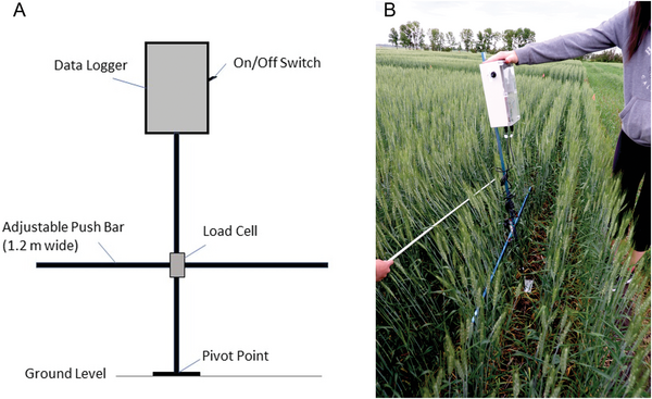 An illustration of the Stalker push-force meter (left), and the Stalker in action (right), capturing stem strength and elasticity data at a spring wheat plot. Photo by Amy Mangin.