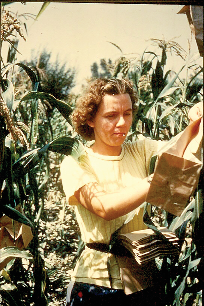 Rosalind Morris working in the field. Photo courtesy of Marla McIntosh.