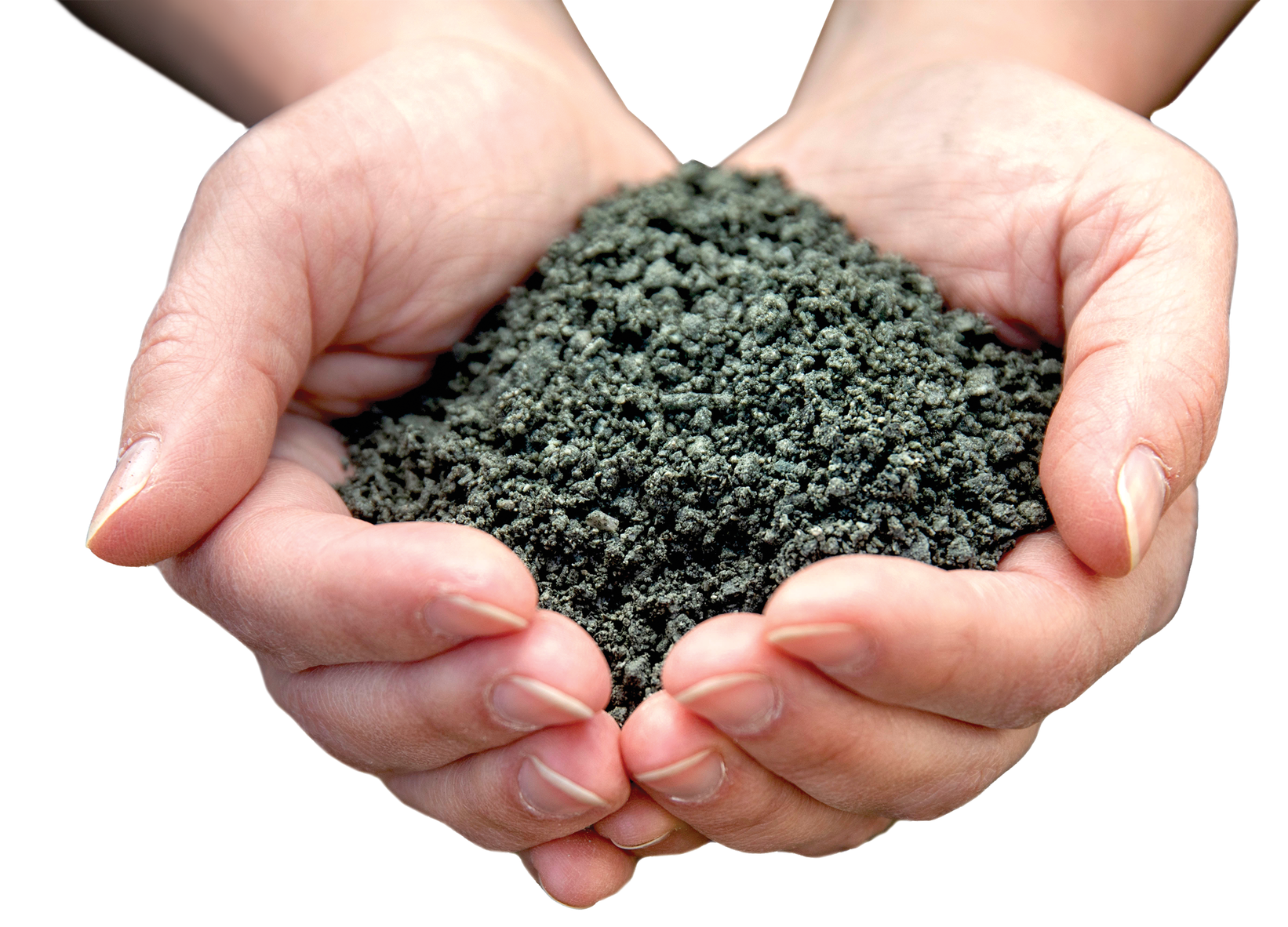 This crushed basalt was applied to Glandwr Forest in Wales, part of a field trial on the effects of enhanced weathering and forest restoration conducted by The Carbon Community. Photo by Paul Box.