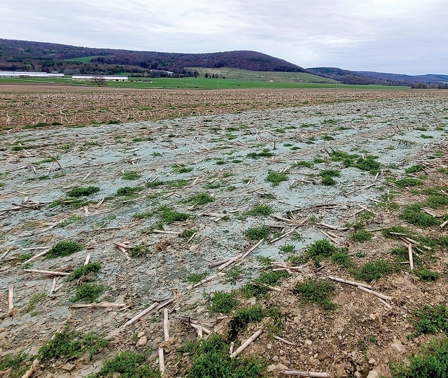 Rock dust spread on a trial land parcel at Agritech, Geneva, NY for an enhanced weathering experiment by Ben Houlton’s group at Cornell University. Photo courtesy of CALS Outreach Office, Cornell University.