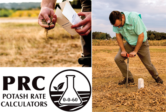 University of Arkansas soil scientist Gerson Drescher collects soil samples after a soybean harvest. Drescher was part of the team that developed the Potash Rate Calculator, available at https://agribusiness.uark.edu/decision-support-software.php##PRC. Photos by Fred Miller/University of Arkansas.