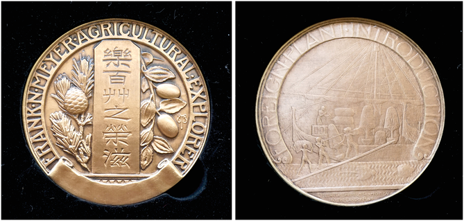 Obverse and reverse sides of the Frank N. Meyer Medal for Plant Genetic Resources.