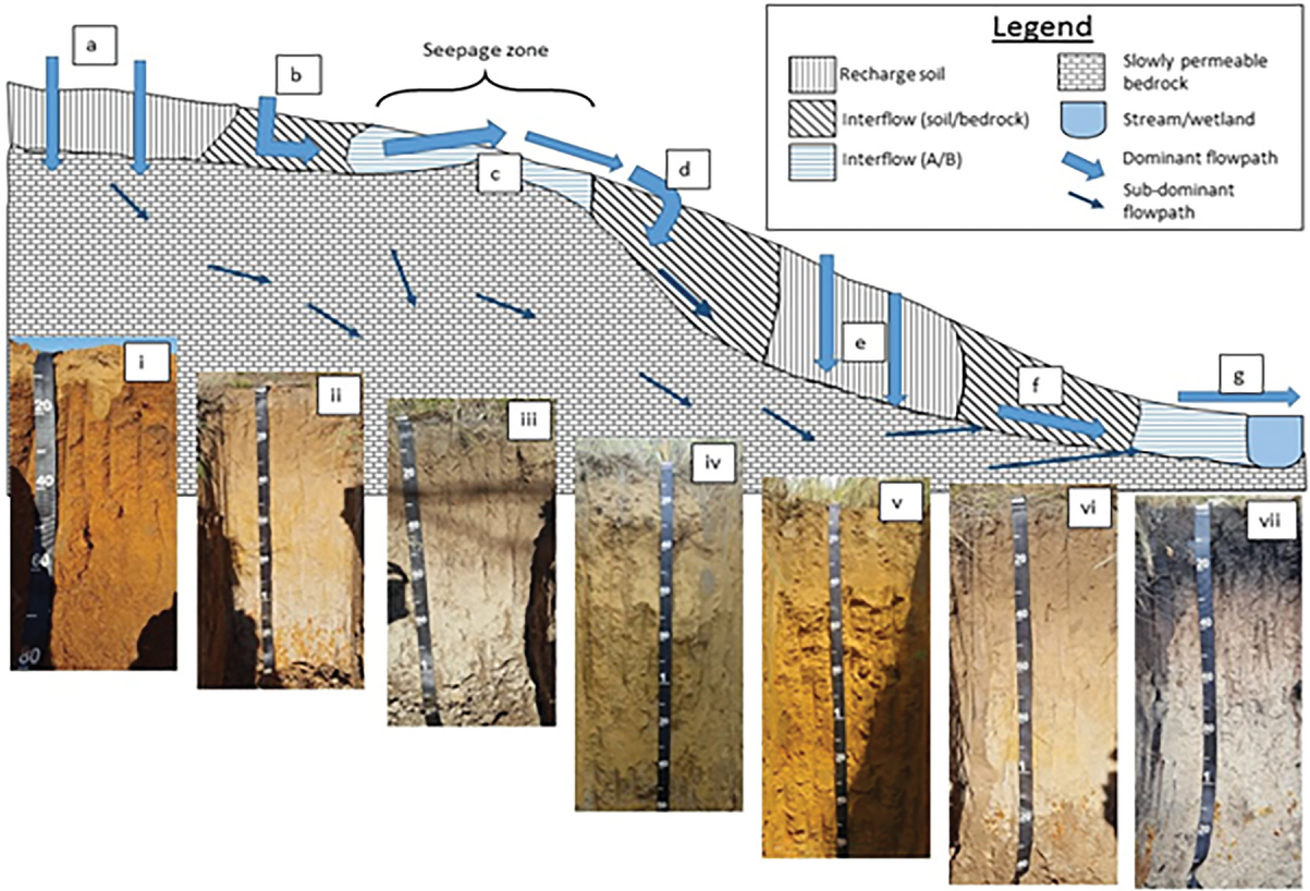 A cross section of a South African landscape with different soils guid- ing heterogeneous flow patterns of water. Image reprinted with per- mission from the chapter “The Contribution of Hydropedogical Assess- ments to the Availability and Sustainability, for All (SDG#6)” by Van Tol et al., published in Soil and Sustainable Development Goals.