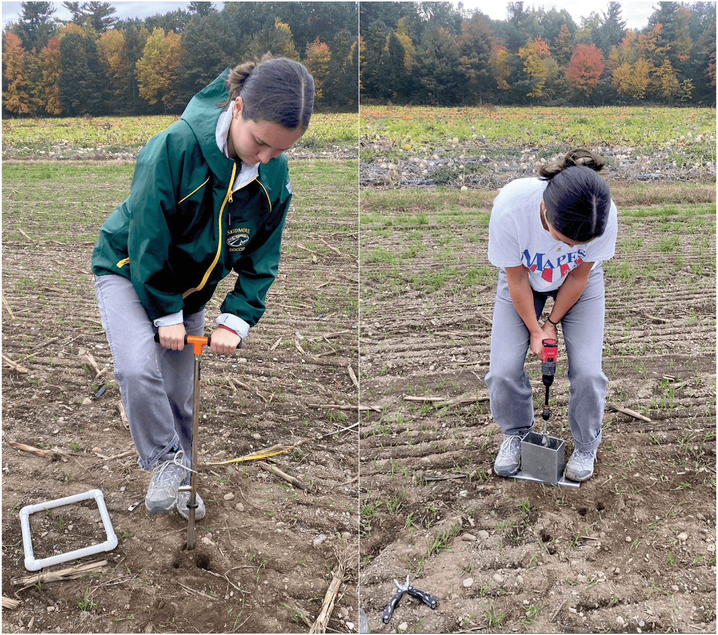 Skidmore College student Claire Wolgast collects soil samples with a traditional 1-inch push probe (left) and a novel drill-mounted auger system (right) to be analyzed for soil carbon concentration. Photos by Kelsey Jensen.