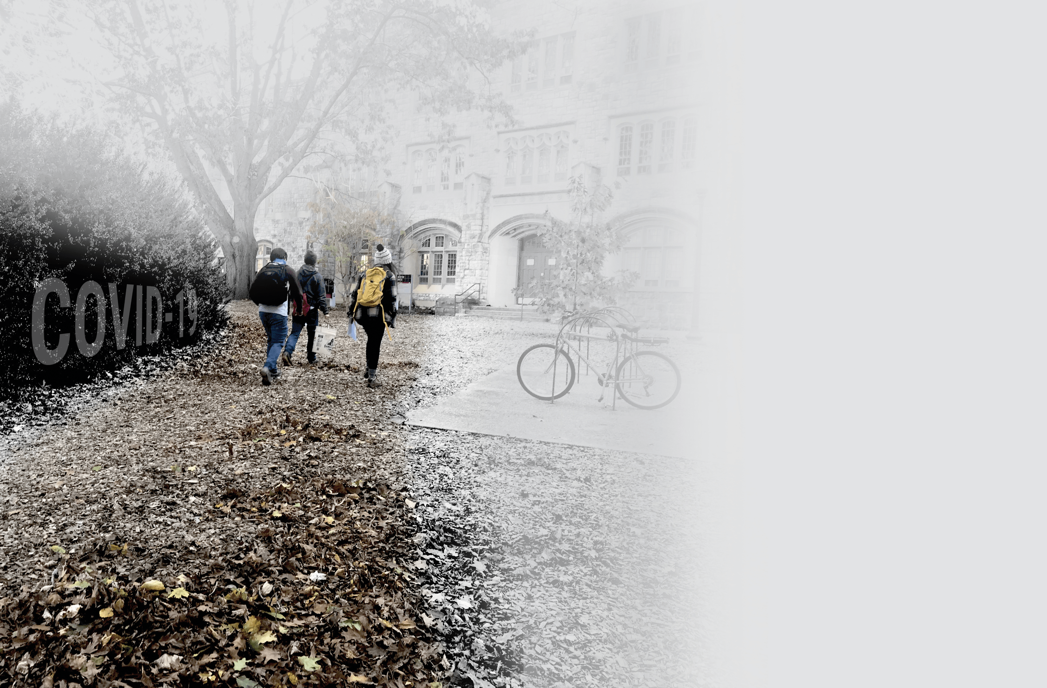 Students in an introductory soil science course at Virginia Tech complete a self‐guided learning lab after collecting a bucket with equipment and supplies from their instructor or TA. The self‐guided learning format allowed students to complete hands‐on field activities while complying with social‐distancing guidelines. Photo courtesy of Hannah Angel.