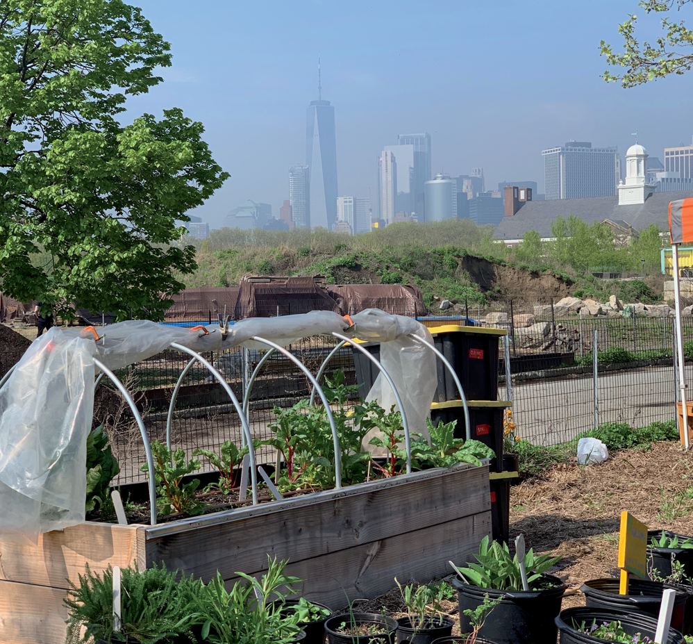 A community garden in New York City where legacy lead contamination can linger for decades. Photo courtesy of Anna Paltseva.