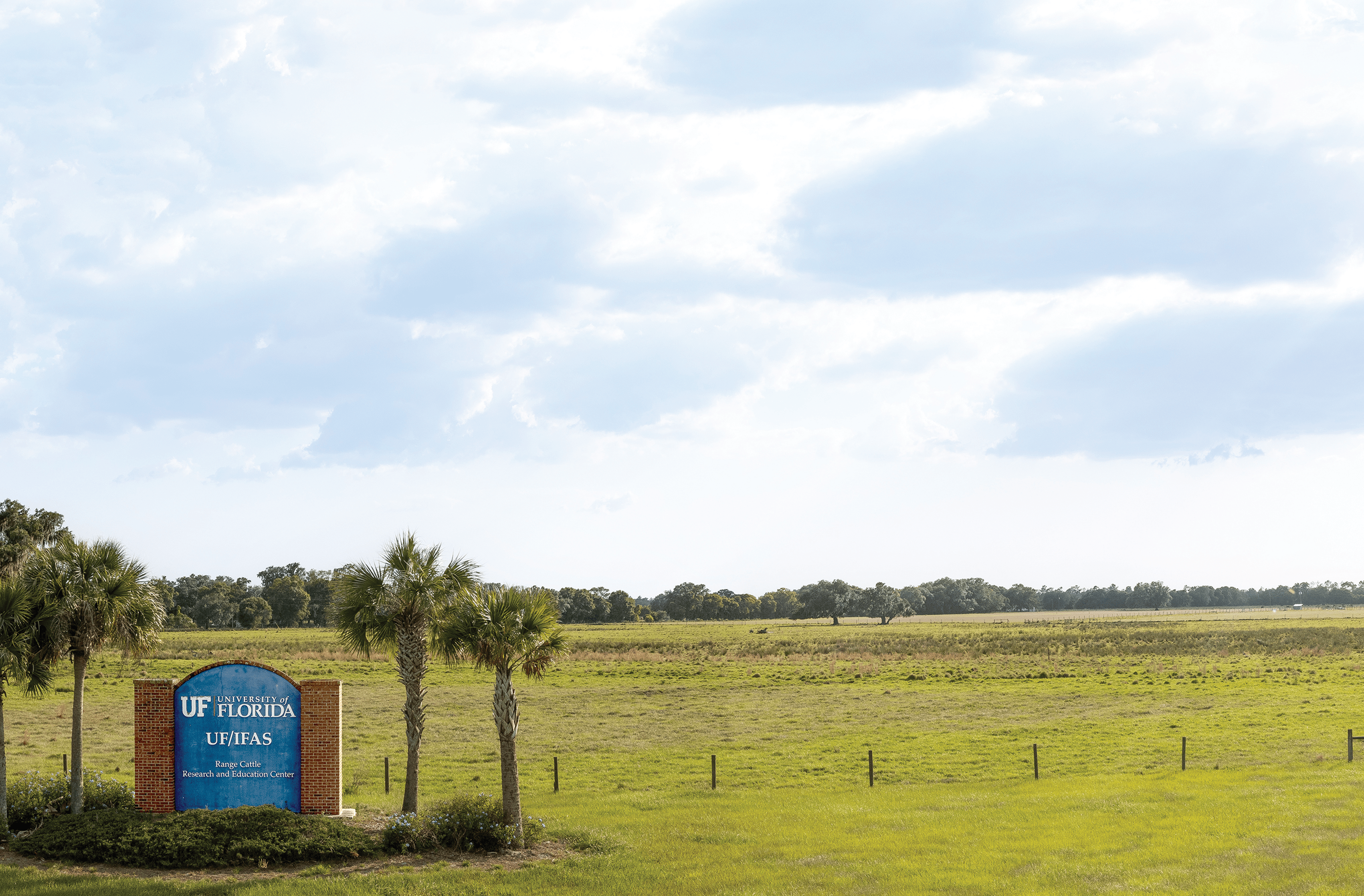 The University of Florida Range Cattle Research and Education Center. Photo courtesy of Maria Silveira