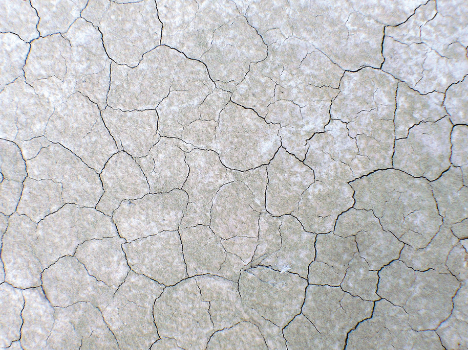 Extreme soil salinity exhibited in takyr soil in the Karakum Desert in Turkmenistan. Photo by Alexander Yakirevic.