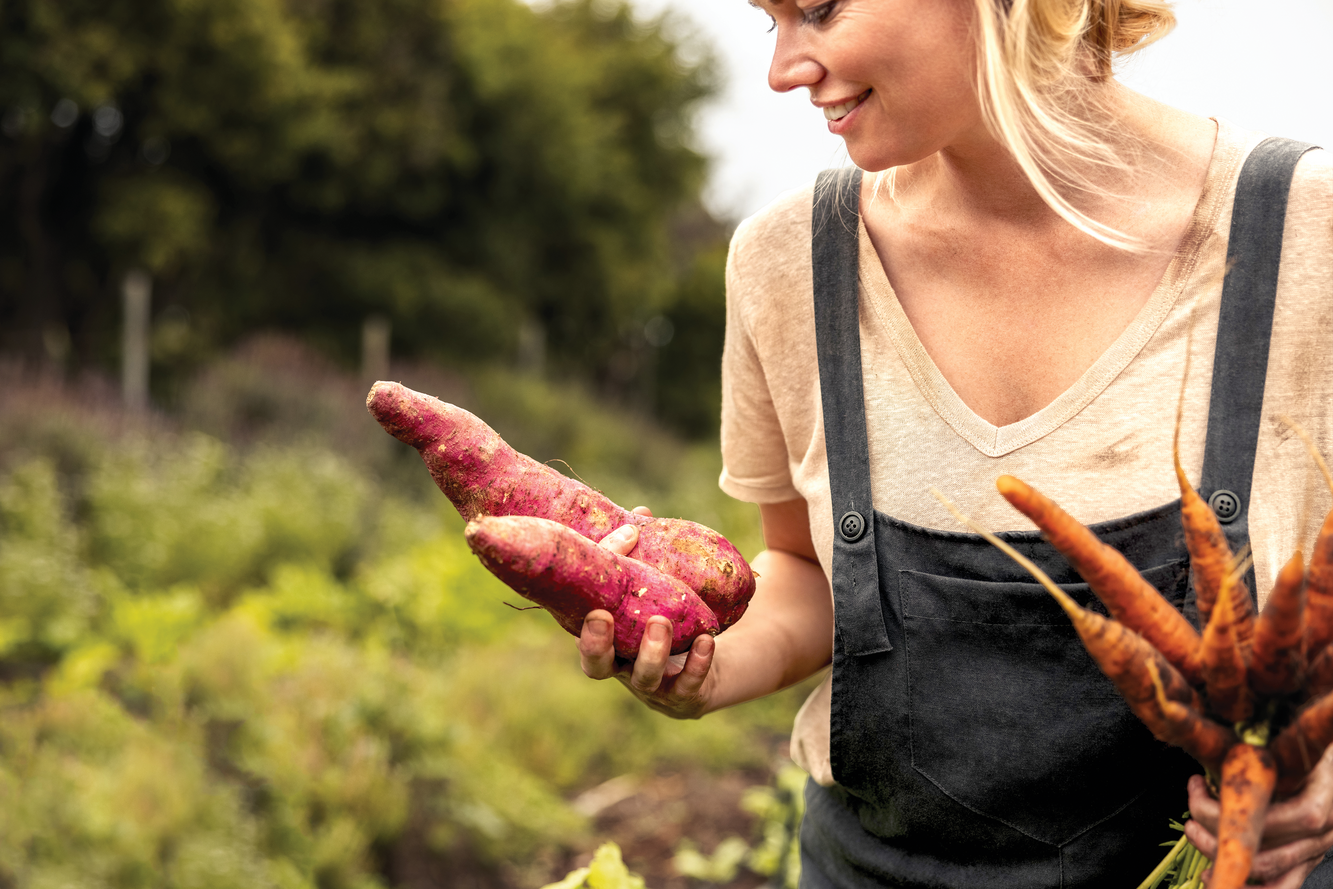 Photo courtesy of Adobe Stock/Jacob Lund.