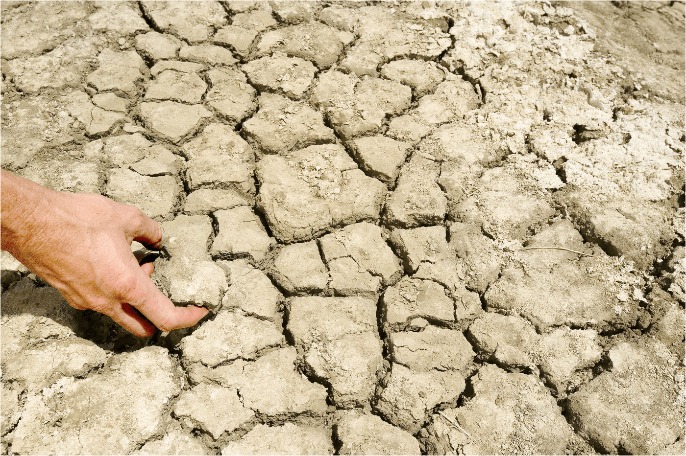 Cracks and soil clumps called “aggregates” can form when saline-sodic, high-clay soil dries out. Soil moisture, clay content, and aggregate size all affect soil aggregate stability. Photo by Peggy Greb, USDA-ARS.