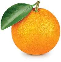 Photo courtesy of Adobe Stock/Make Naro- denko.